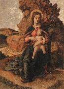 Andrea Mantegna Madonna and Child Spain oil painting artist